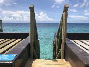 Cozumel 2020 hotel beach