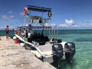 Cozumel 2020 SCUBA diving