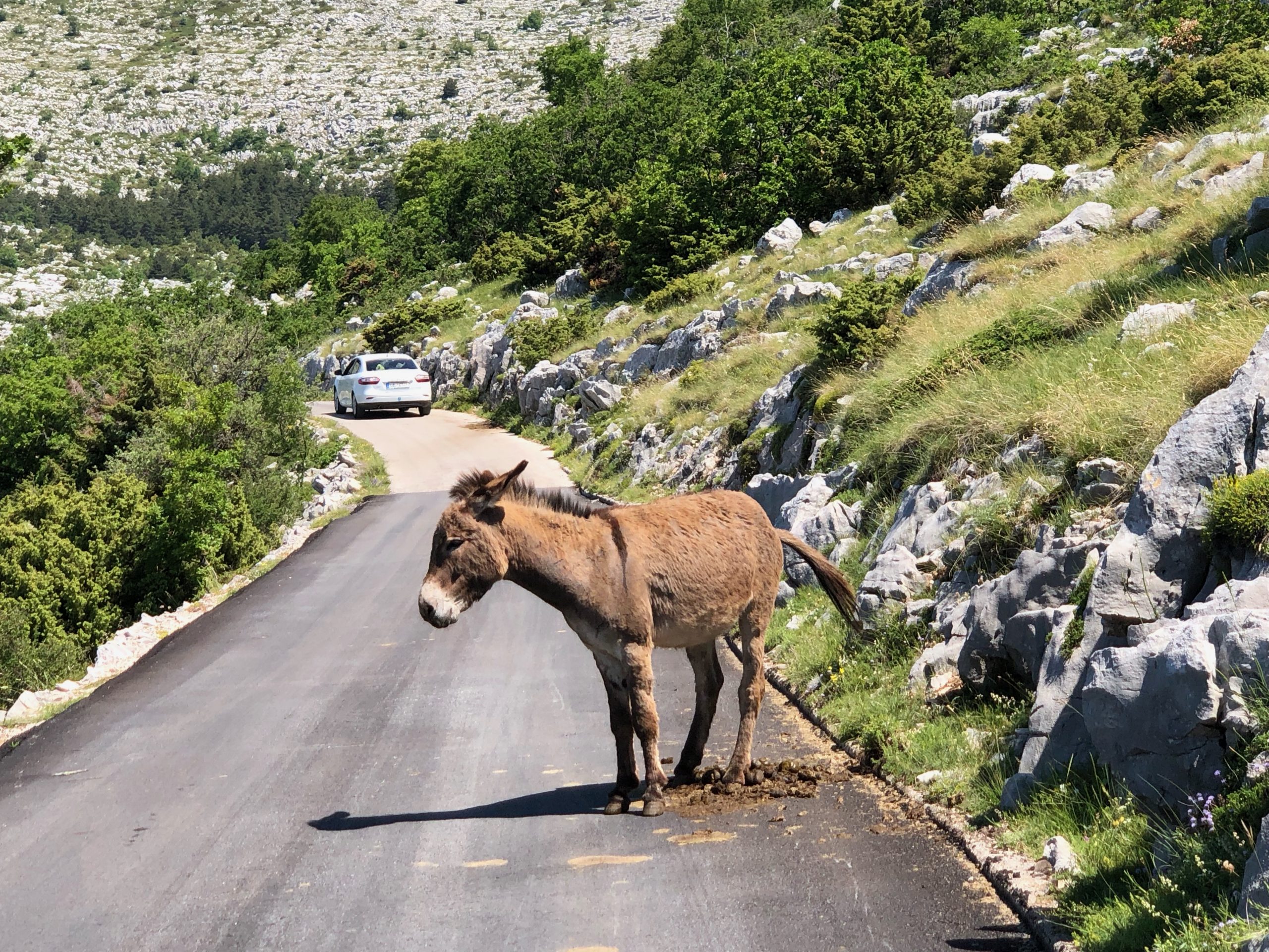 Croatia Sv Jure with Will Tomanek