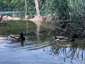 Croatia hiking with Will Tomanek