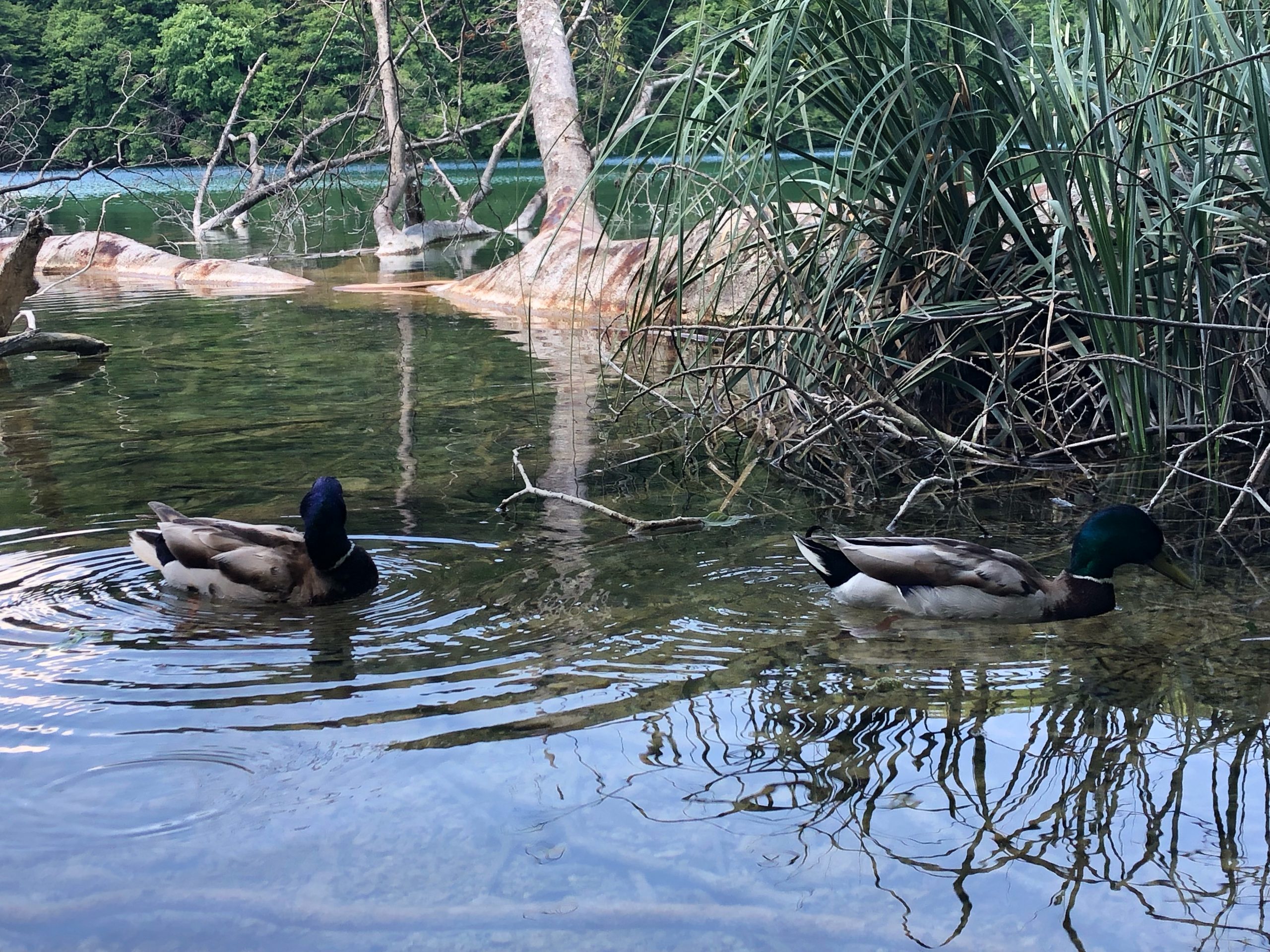 Croatia hiking with Will Tomanek