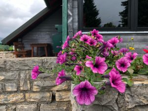 Croatia camping with Will Tomanek