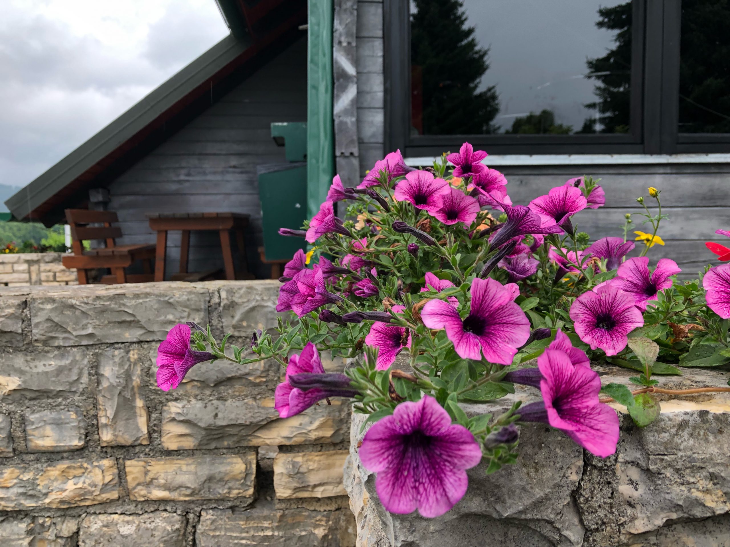 Croatia camping with Will Tomanek